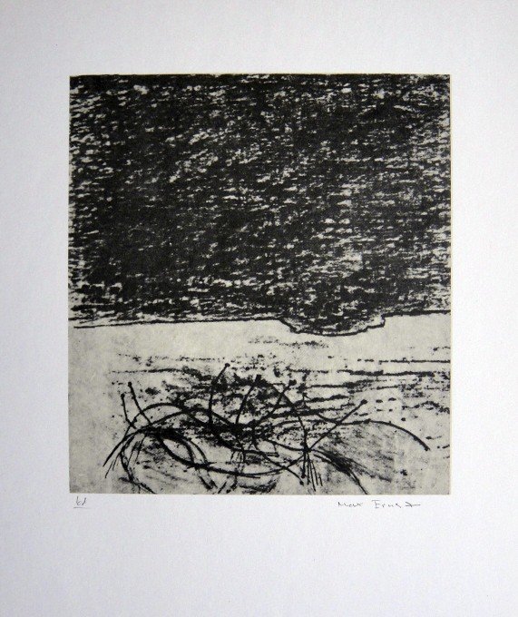 Max Ernst, signed Lithogrraph, 1957: Lithograph from Max Ernst, published in 1957. Hand signed by Ernst, signature and 61 in pencil. From a VIP book "Historie naturelle II". Prov: Galerie Berggruen, Paris. Size: 12.2 x 10.6 inches (31 x 