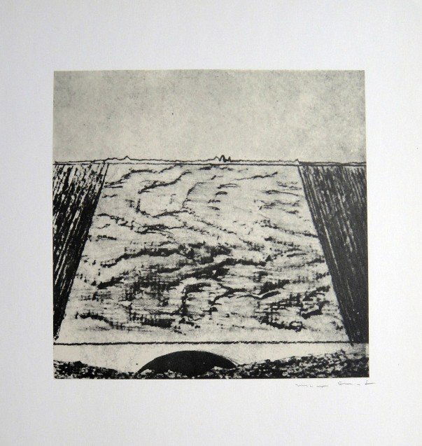 Max Ernst, signed Lithogrraph, 1957: Lithograph from Max Ernst, published in 1957. Hand signed by Max Ernst in pencil. From a VIP book "Historie naturelle II". Prov: Galerie Berggruen, Paris. Size: 12.2 x 10.6 inches (31 x 27 cm).