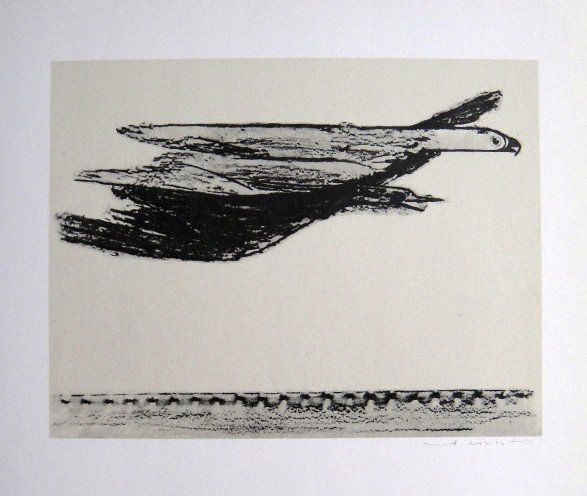 Max Ernst, signed Lithogrraph, 1957: Lithograph from Max Ernst, published in 1957. Hand signed by Max Ernst in pencil. From a VIP book "Historie naturelle II". Prov: Galerie Berggruen, Paris. Size: 12.2 x 10.6 inches (31 x 27 cm).