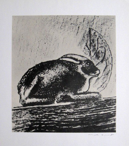 Max Ernst, signed Lithogrraph, 1957: Lithograph from Max Ernst, published in 1957. Hand signed by Max Ernst in pencil. From a VIP book "Historie naturelle II". Prov: Galerie Berggruen, Paris. Size: 12.2 x 10.6 inches (31 x 27 cm).