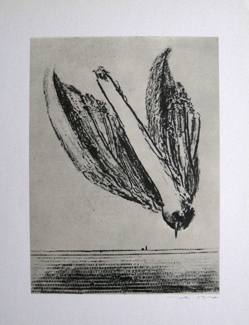 Max Ernst, signed Lithogrraph, 1957: Lithograph from Max Ernst, published in 1957. Hand signed by Max Ernst in pencil. From a VIP book "Historie naturelle II". Prov: Galerie Berggruen, Paris. Size: 12.2 x 10.6 inches (31 x 27 cm).