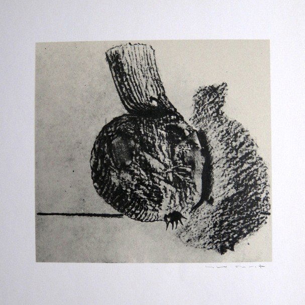 Max Ernst, signed Lithogrraph, 1957: Lithograph from Max Ernst, published in 1957. Hand signed by Max Ernst in pencil. From a VIP book "Historie naturelle II". Prov: Galerie Berggruen, Paris. Size: 12.2 x 10.6 inches (31 x 27 cm).