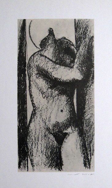 Max Ernst, signed Lithogrraph, 1957: Lithograph from Max Ernst, published in 1957. Hand signed by Max Ernst in pencil. From a VIP book "Historie naturelle II". Prov: Galerie Berggruen, Paris. Size: 12.2 x 10.6 inches (31 x 27 cm).