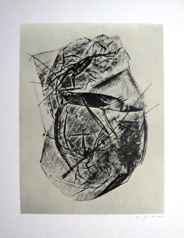 Max Ernst, signed Lithogrraph, 1957: Lithograph from Max Ernst, published in 1957. Hand signed by Max Ernst in pencil. From a VIP book "Historie naturelle II". Prov: Galerie Berggruen, Paris. Size: 12.2 x 10.6 inches (31 x 27 cm).
