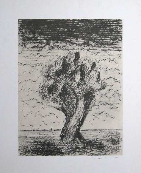 Max Ernst, signed Lithogrraph, 1957: Lithograph from Max Ernst, published in 1957. Hand signed by Max Ernst in pencil. From a VIP book "Historie naturelle II". Prov: Galerie Berggruen, Paris. Size: 12.2 x 10.6 inches (31 x 27 cm).