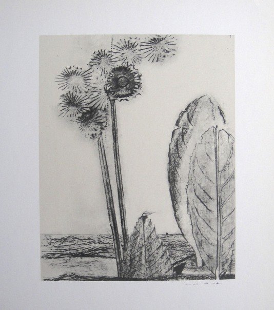 Max Ernst, signed Lithogrraph, 1957: Lithograph from Max Ernst, published in 1957. Hand signed by Max Ernst in pencil. From a VIP book "Historie naturelle II". Prov: Galerie Berggruen, Paris. Size: 12.2 x 10.6 inches (31 x 27 cm).