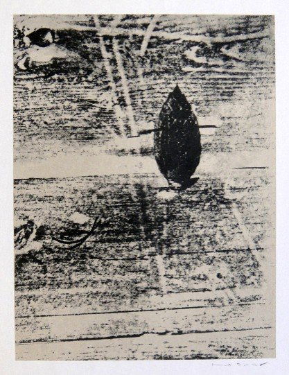 Max Ernst, signed Lithogrraph, 1957: Lithograph from Max Ernst, published in 1957. Hand signed by Max Ernst in pencil. From a VIP book "Historie naturelle II". Prov: Galerie Berggruen, Paris. Size: 12.2 x 10.6 inches (31 x 27 cm).