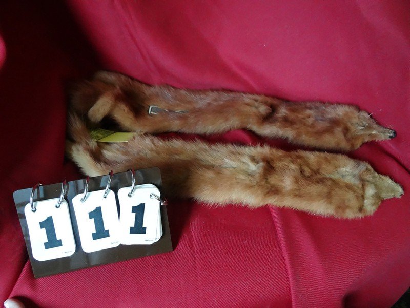 LOT OF 2 - RED FOX SKINS - ONE 26''/ ONE 28'': LOT OF 2 - RED FOX SKINS - ONE 26''/ ONE 28''