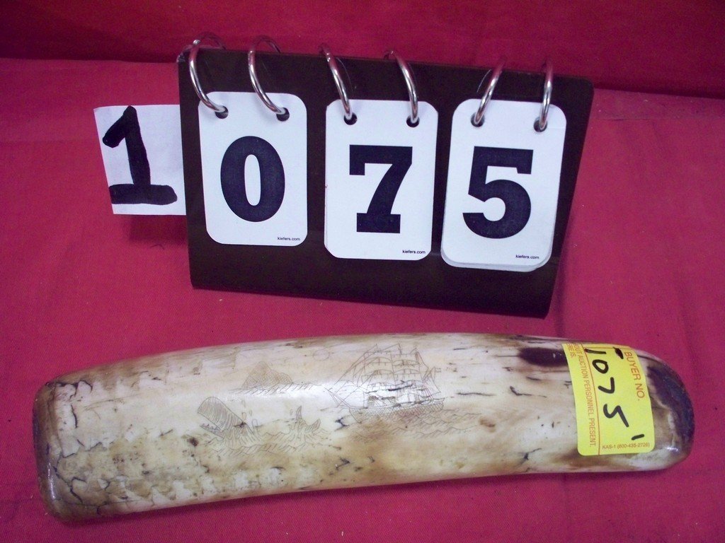 WHALE TOOTH - SCRIMSHAW VESSEL AND WHALE - 10'' LONG: WHALE TOOTH - SCRIMSHAW VESSEL AND WHALE - 10'' LONG