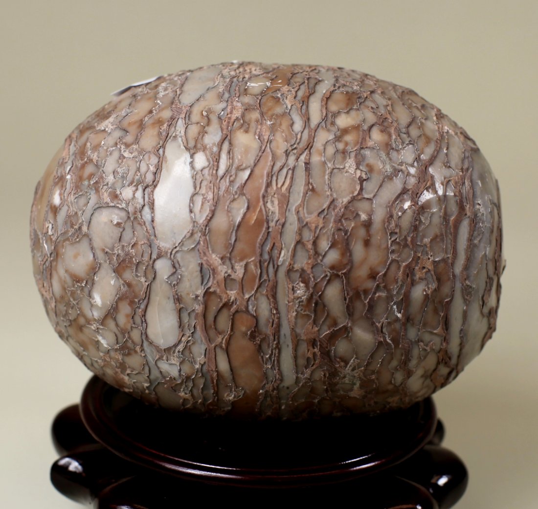 DINOSAUR EGG FOSSIL: D: 3.5", L: 5"