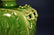 118: Chinese antique Hu type celadon vase - 3