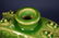 118: Chinese antique Hu type celadon vase - 4