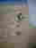 item-37900292=3