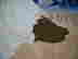item-37900292=6