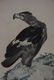 Chinese Scroll Painting ;signed Li Kuchan - 3