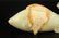 Chinese old white jade fish pendant - 2