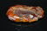 Chinese horn carved brush washer ; Dragons and pine - 2