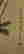 item-54551230=3