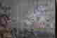 item-56737532=2