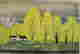 item-58806283=2