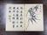 Chinese Watercolor Painting & Calligraphy