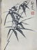Chinese Watercolor Painting & Calligraphy - 2