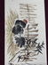 Chinese Watercolor Painting - Wang Xuetao - 7