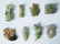Group of Old Jade Carvings