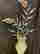 item-121180697=2