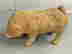 item-121180730=2