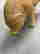 item-121180730=3