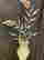 item-124077055=10