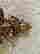 item-131315062=8