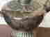 item-131315072=5