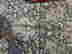 item-131315206=4