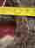 item-131315206=6