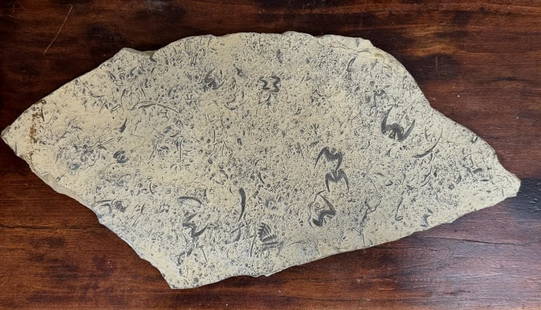 Fossil: Fossil