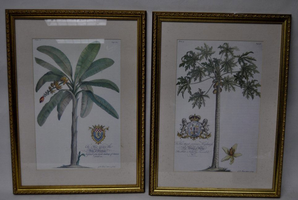 Two Botanical Prints (1 of 3)