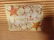 2 PC SEASHELL HANDLE SERVING UTENSILS, IN ORIGNAL BOX, - 6
