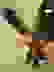 item-52526206=4