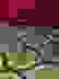 item-53526406=3