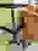 item-53526476=2