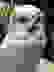 item-53560568=5
