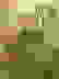 item-54846011=4