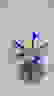 item-56545801=5
