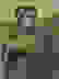 item-56546100=3