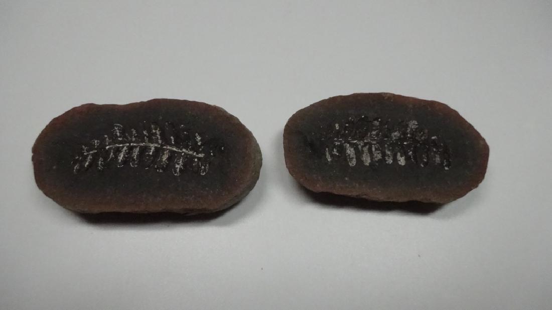 PAIR FOSSIL FERNS, APPROX 2"L (1 of 7)