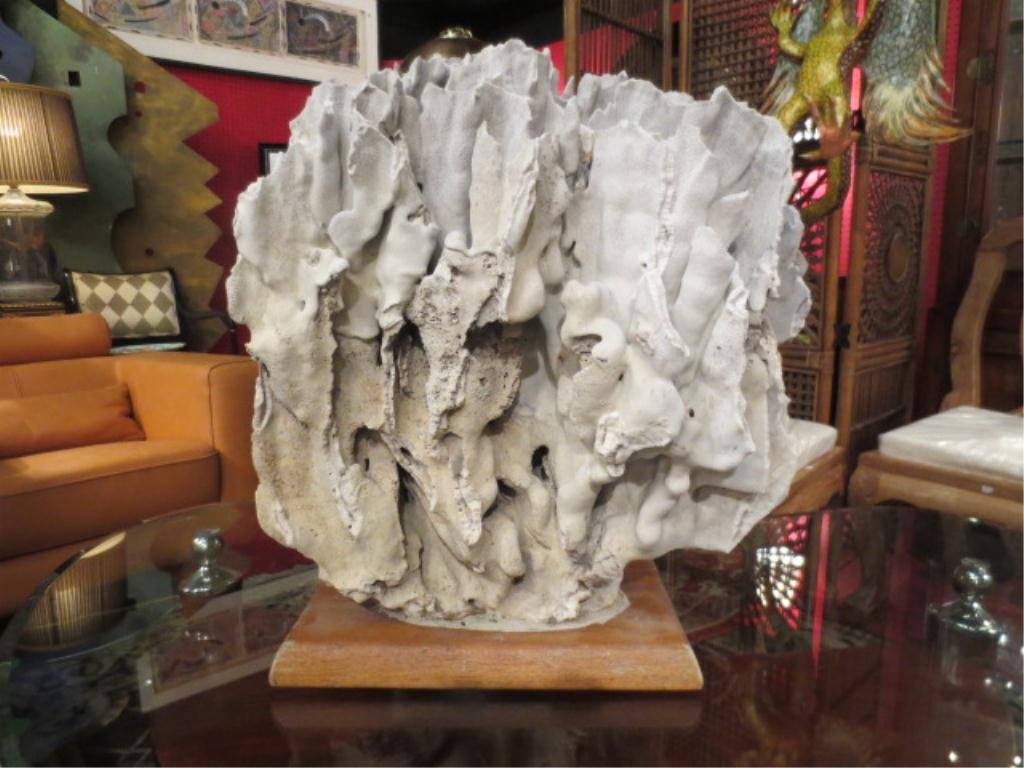 HUGE NATURAL CORAL, APPROX 24" X 20" X 17": HUGE NATURAL CORAL, APPROX 24" X 20" X 17"