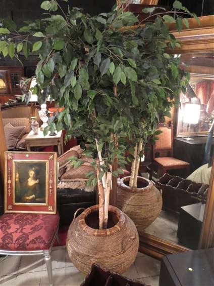 FAUX FICUS TREE IN RATTAN COVERED CLAY POT, APPROX: FAUX FICUS TREE IN RATTAN COVERED CLAY POT, APPROX 7'H