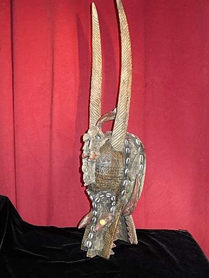 AFRICAN CARVED WOODEN HELMET MASK, "FIRESPITTER", WOOD: AFRICAN CARVED WOODEN HELMET MASK, "FIRESPITTER", WOOD WITH METAL AND COWRIE SHELL APPLICATIONS, FROM SENUFO TRIBE, IVORY COAST, WEST AFRICA, APPROX 36.5" X 10"